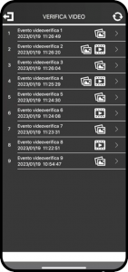 VIDEO VERIFICA